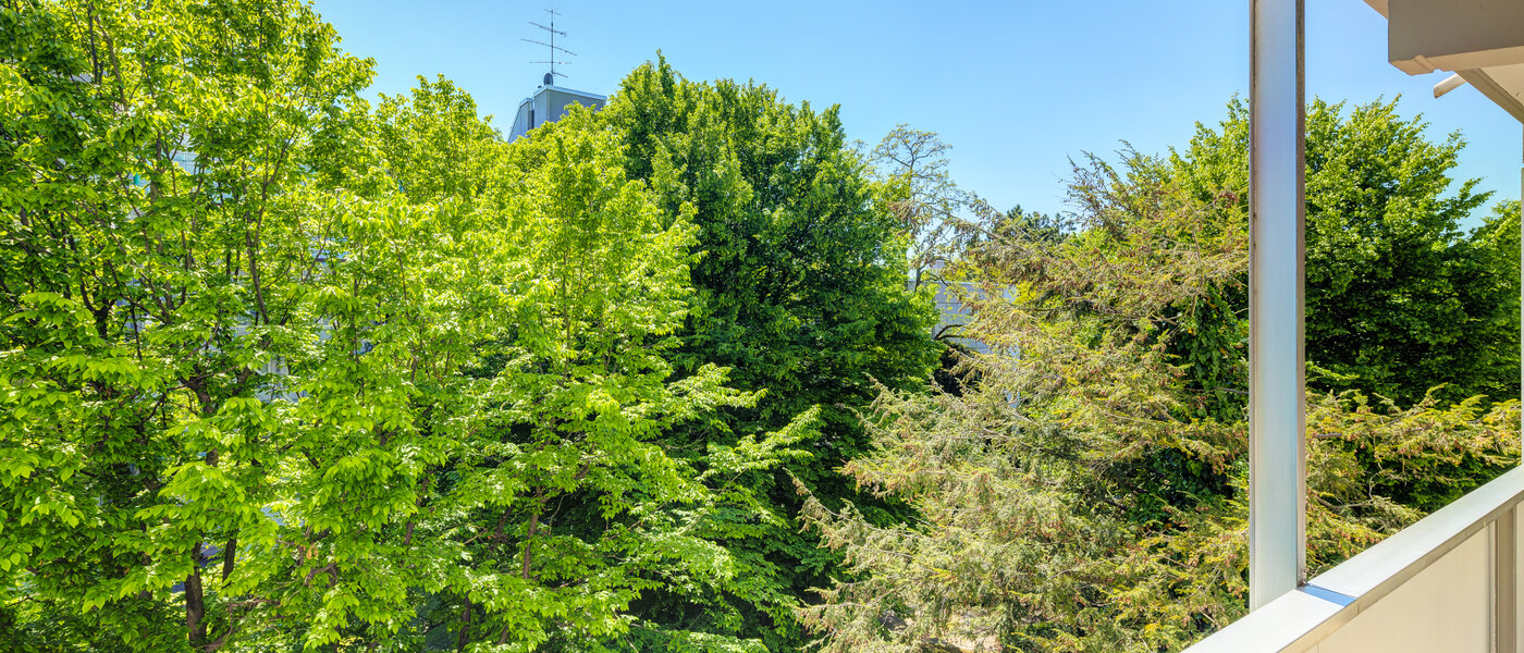 apartment München Schwabing-Nord (zw. Leopoldstraße & Englischen Garten) 02 view 7670