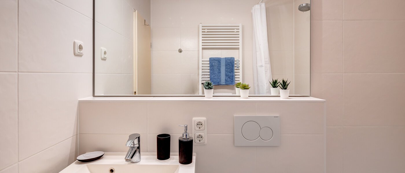 apartment München Schwabing-West (rund um den Hohenzollernplatz) 02 bathroom 7675