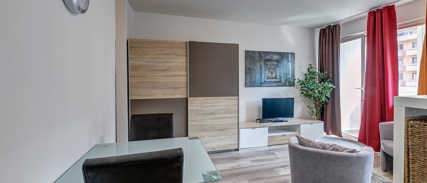 apartment München Schwabing (links der Leopoldstraße) 02 living area 7687