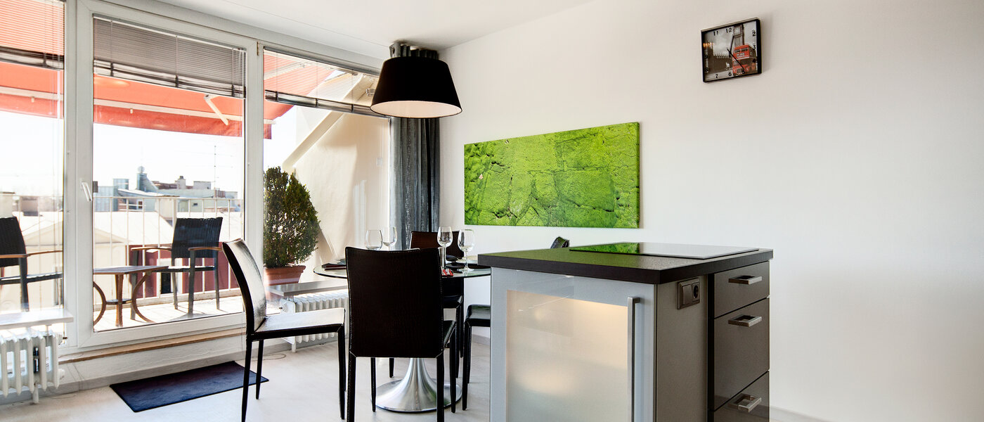 roof terrace apartment München Schwabing-West (rund um den Hohenzollernplatz) 03 kitchen 7704