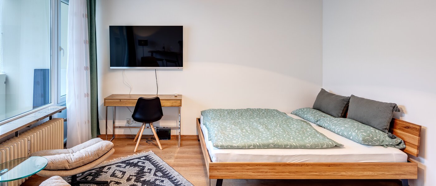 apartment München Pasing 02 living area 7789