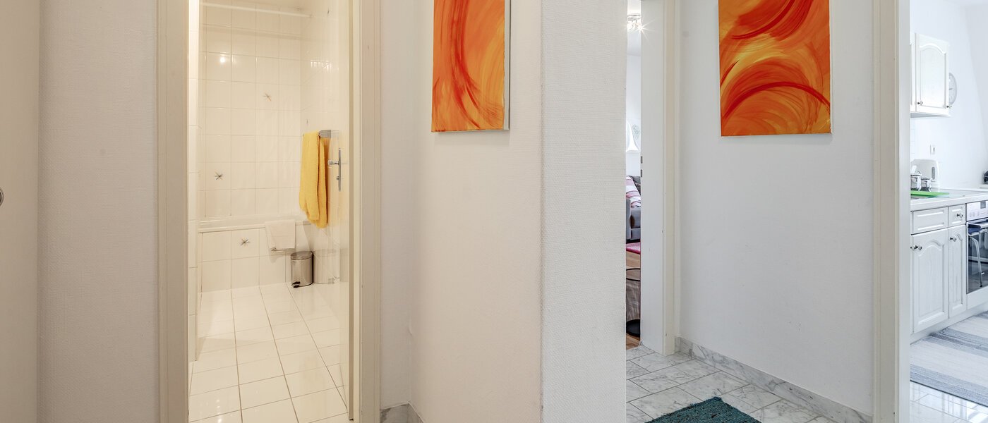 apartment München Maxvorstadt - Westen 01 hall 782