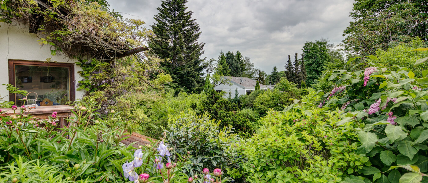 house Schäftlarn 01 garden 7847