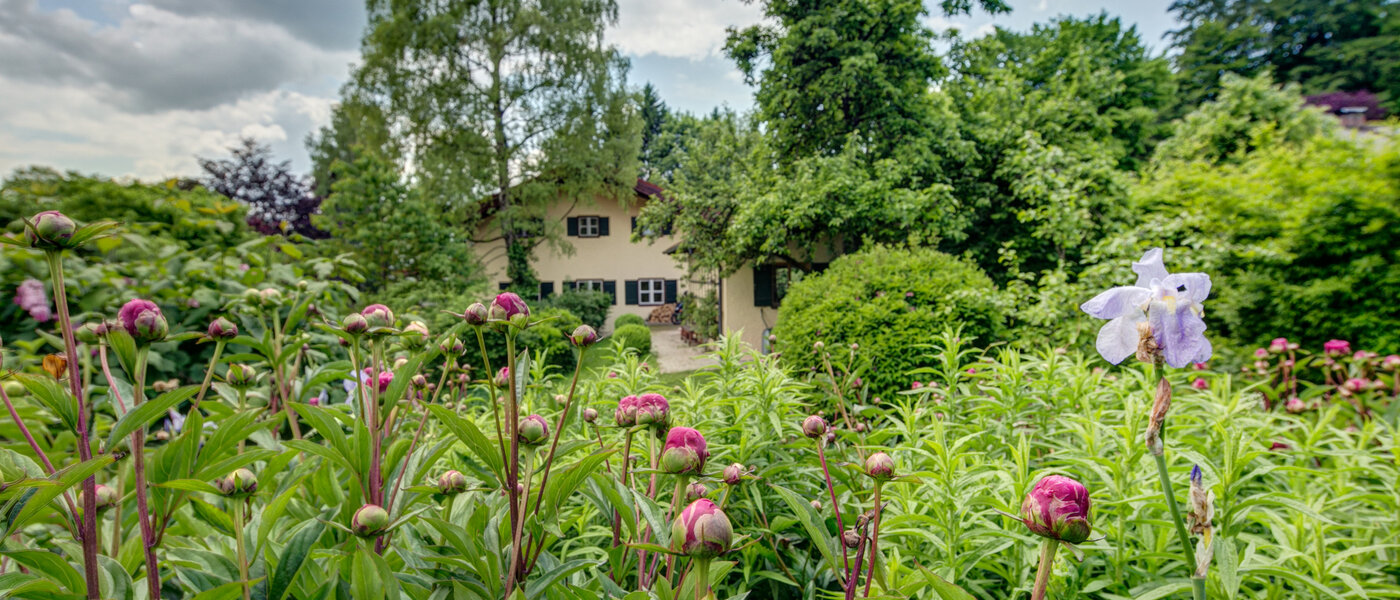 house Schäftlarn 02 garden 7847