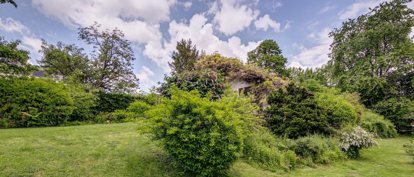 house Schäftlarn 03 garden 7847