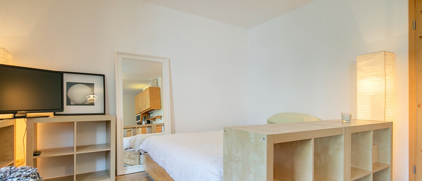 apartment München Obergiesing 04 living room 7866