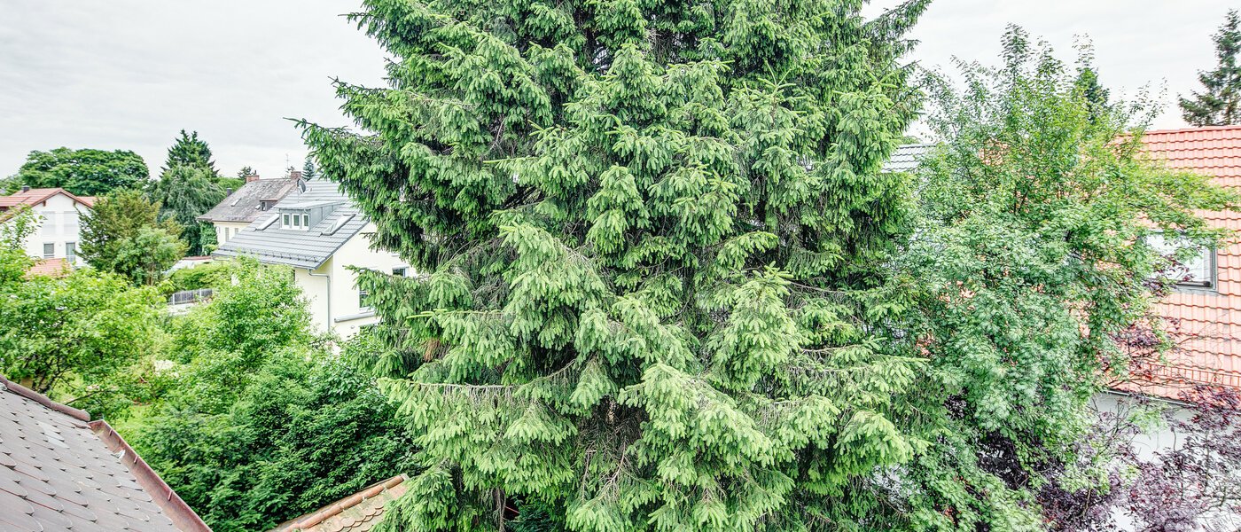 attic apartment München Ramersdorf 02 view 7878