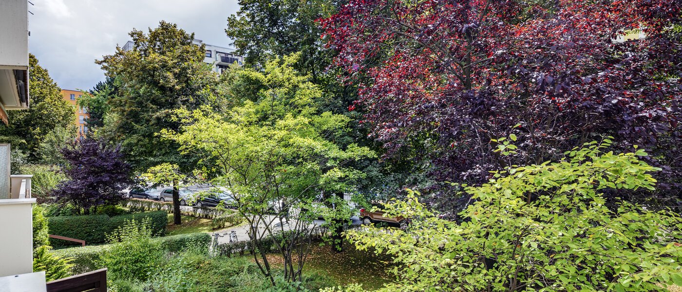 apartment München Haidhausen 01 view 7905