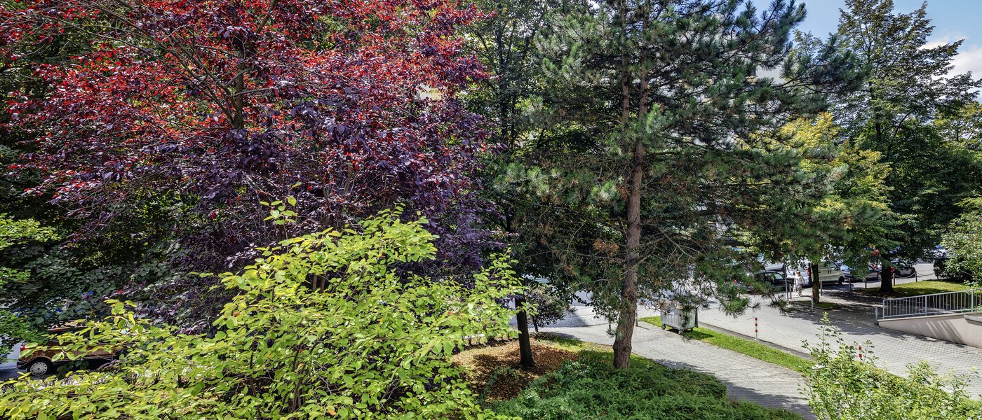 apartment München Haidhausen 02 view 7905