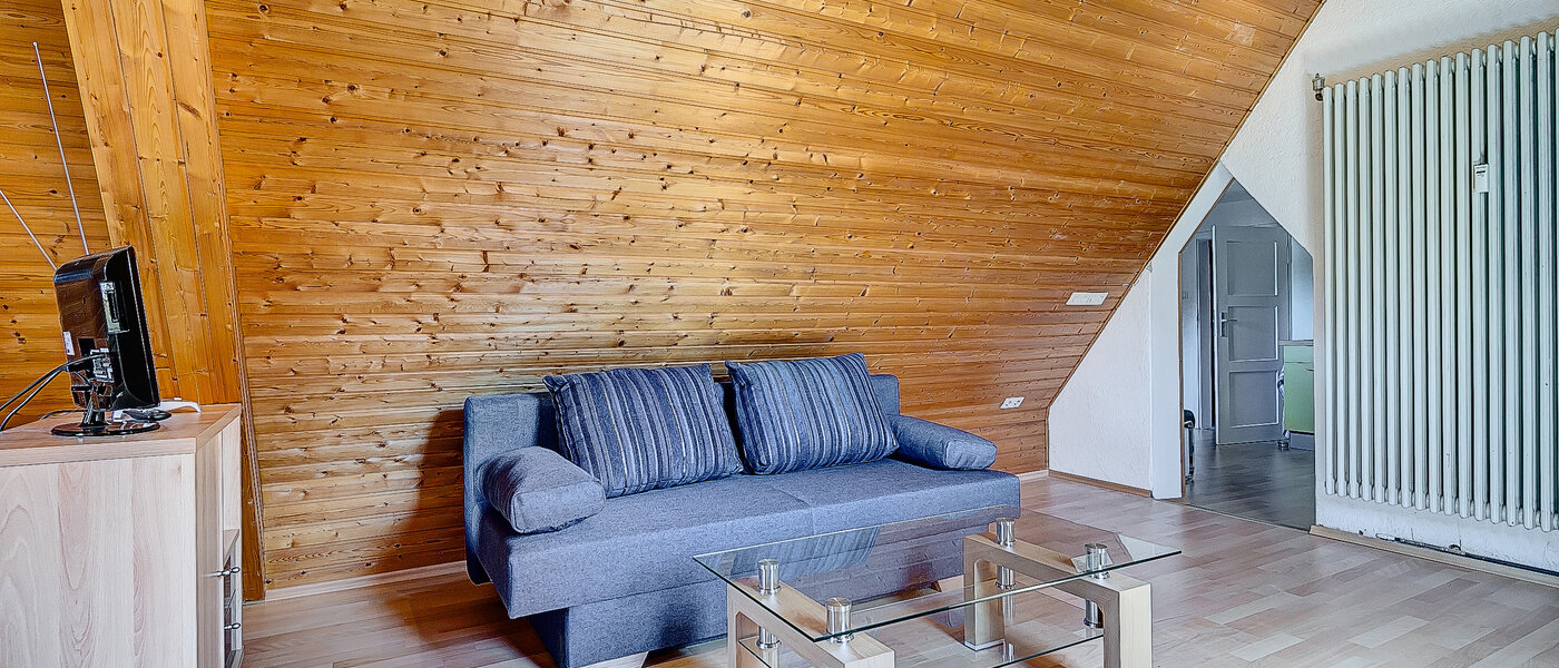 attic apartment München Untermenzing 02 living room 7937
