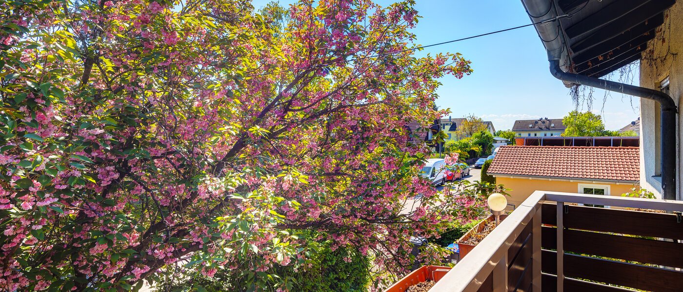 apartment Haar 02 view 7939