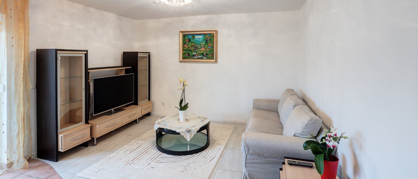 apartment Haar 03 living area 7939