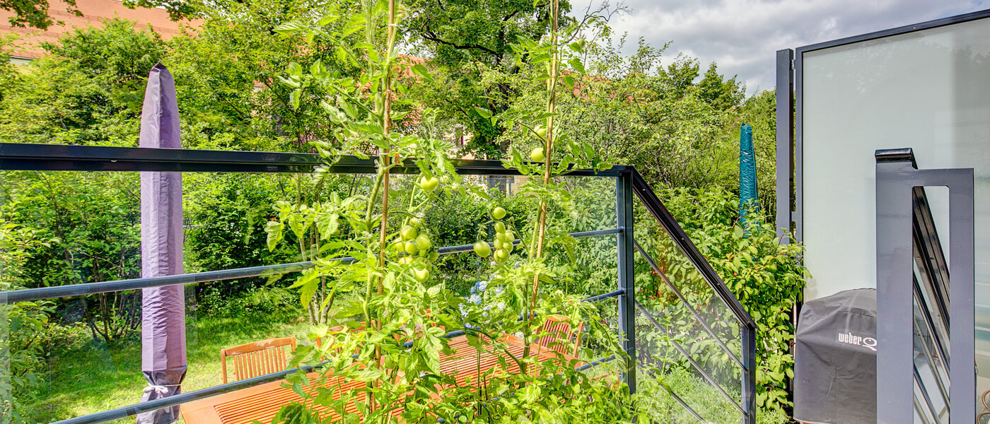 house München Schwabing-West 01 garden 7998