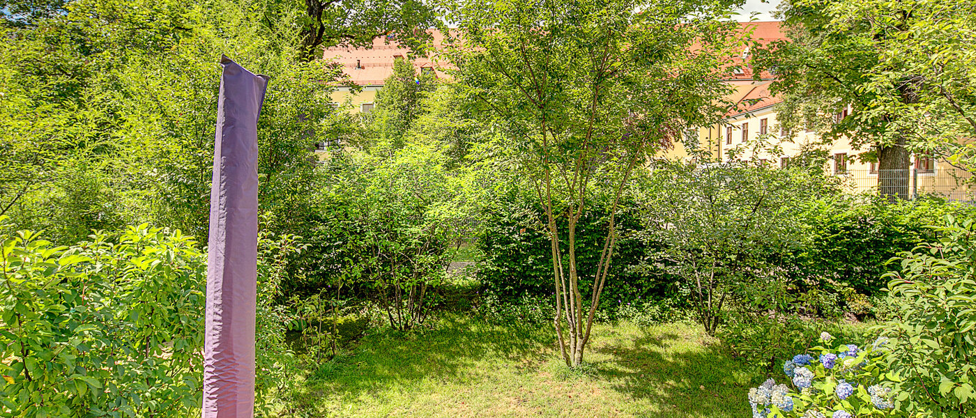 house München Schwabing-West 03 garden 7998
