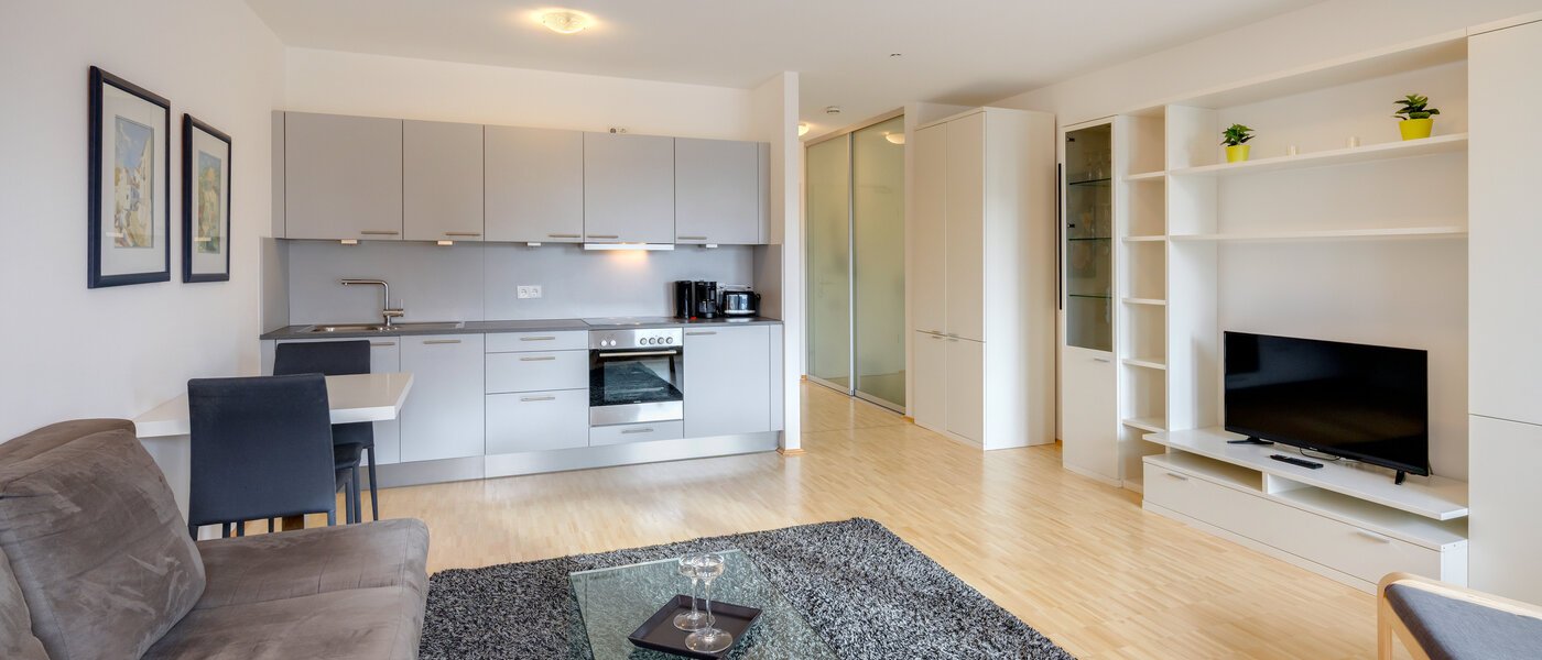 apartment München Obergiesing 02 living area 8005