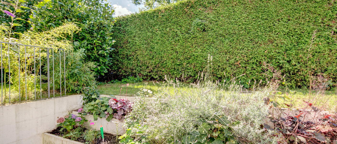 apartment München Nymphenburg 02 garden 8077