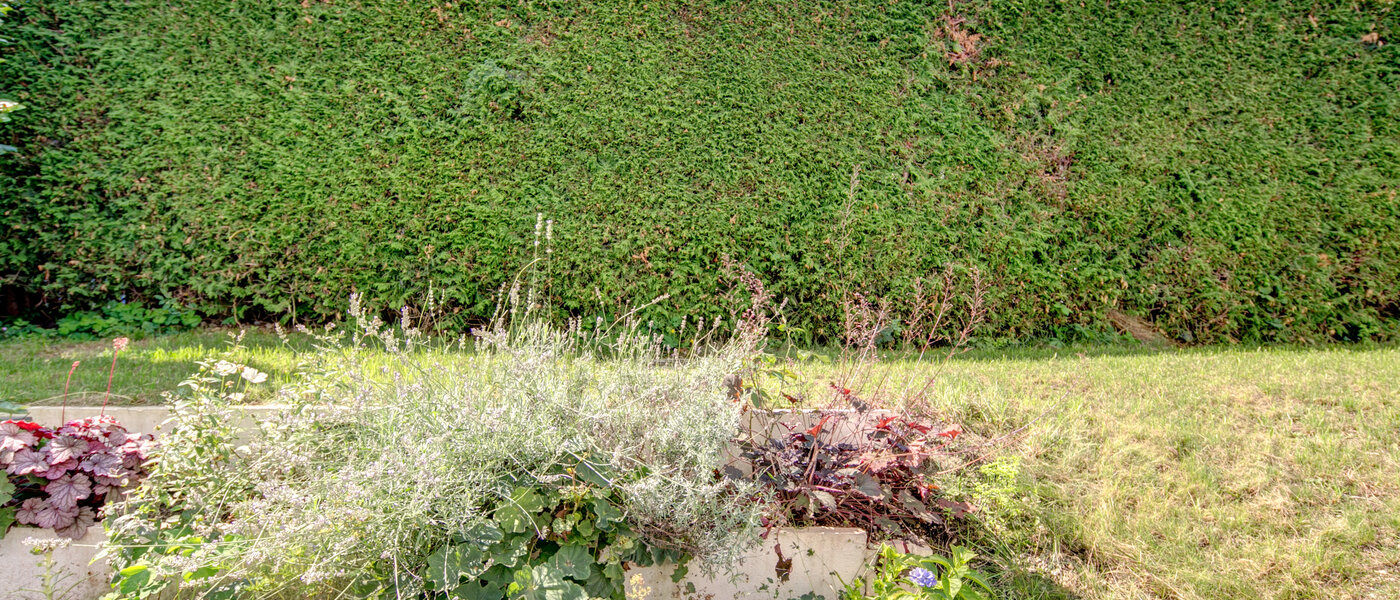 apartment München Nymphenburg 03 garden 8077