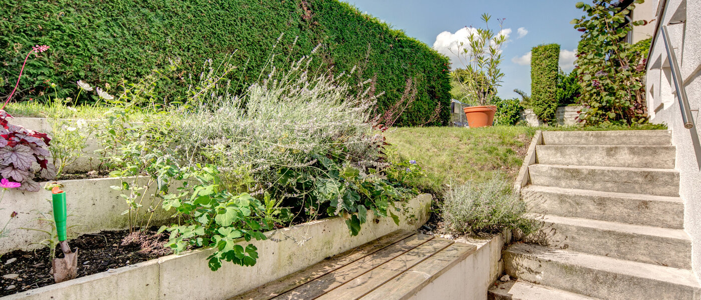 apartment München Nymphenburg 02 terrace 8077