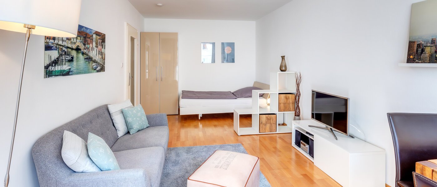 apartment München Untergiesing 03 living area 8114