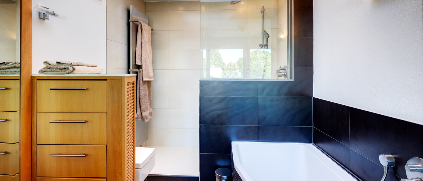 attic apartment München Menterschwaige 02 bathroom 8181