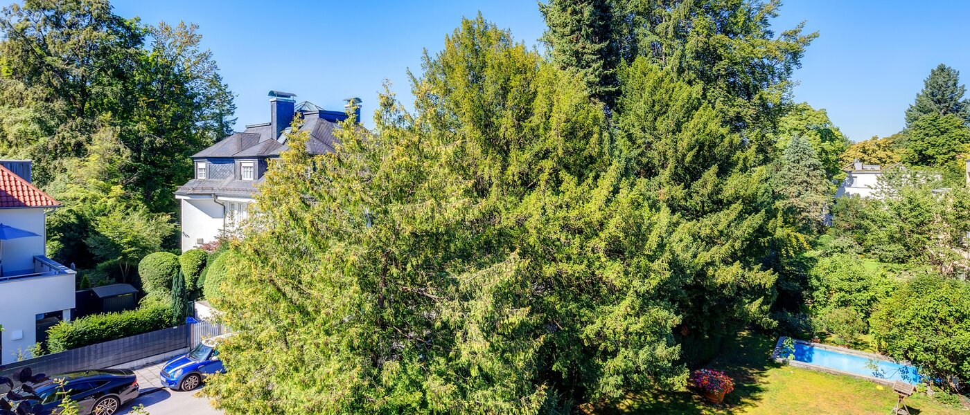 attic apartment München Menterschwaige 01 view 8181