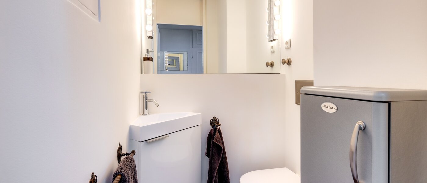 attic apartment München Menterschwaige 01 guest toilet 8181