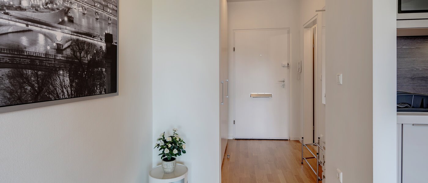 attic apartment München Solln 02 hall 8282