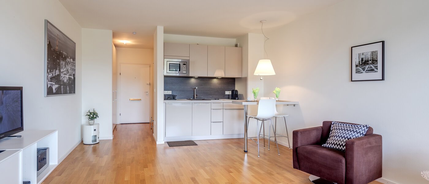 attic apartment München Solln 04 living area 8282