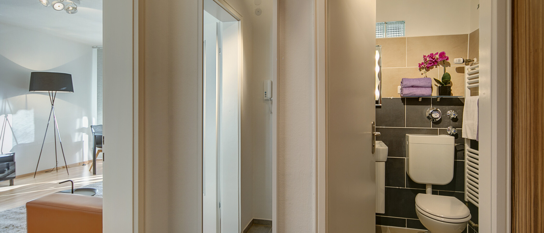 apartment with garden 	 München Maxvorstadt 02 hall 8378