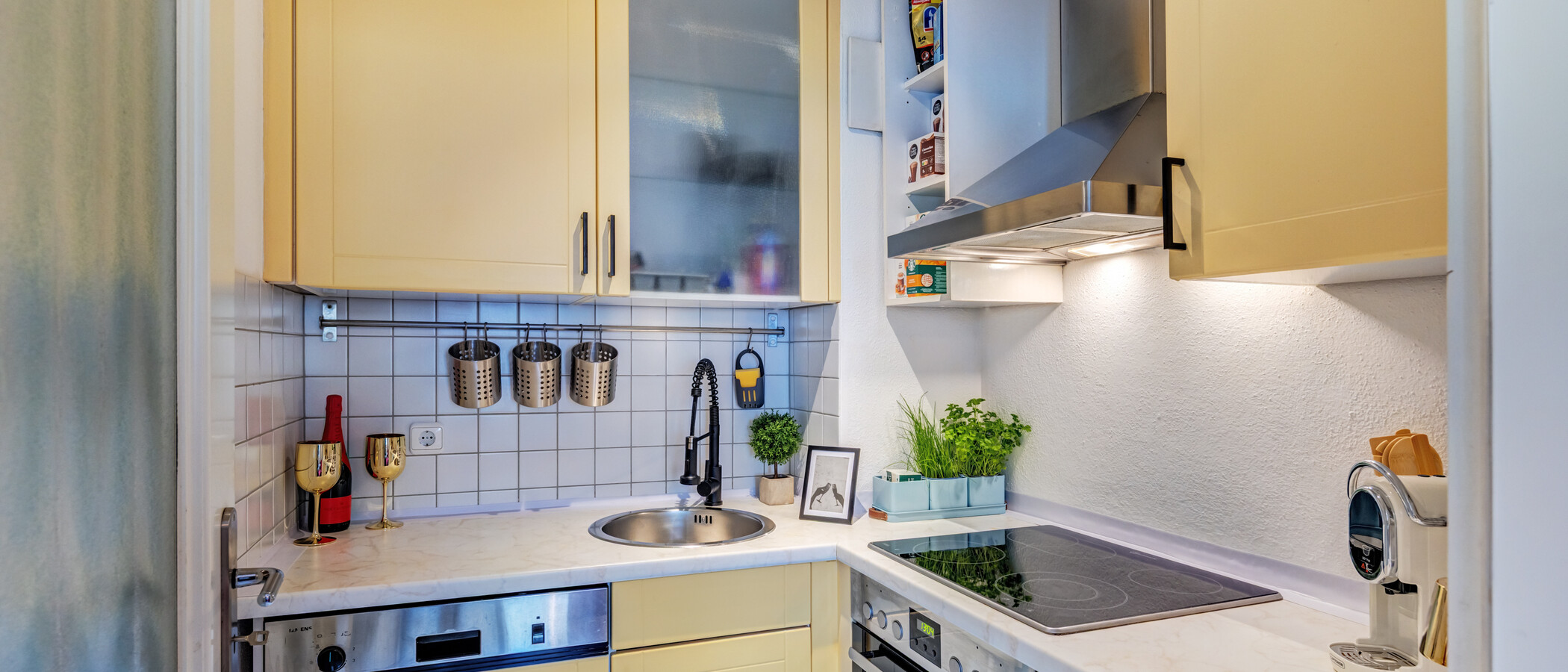 apartment München Untergiesing 01 kitchen 8397