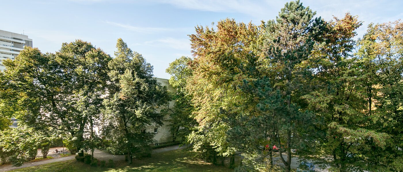 apartment München Englschalking 01 view 8399