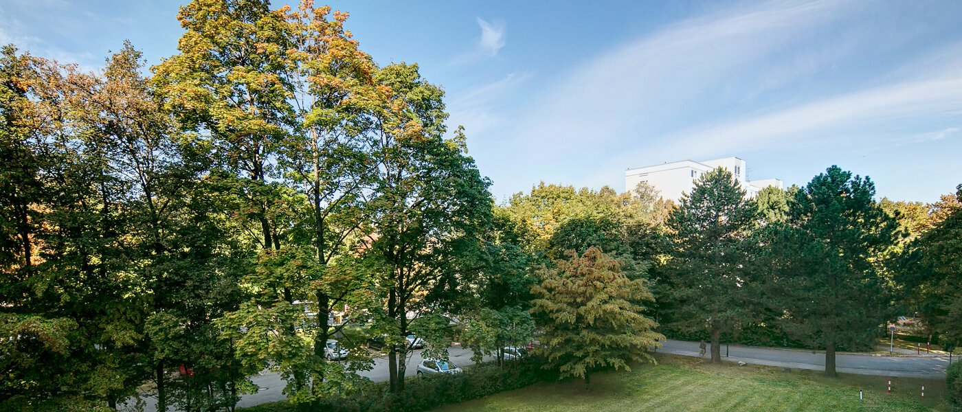 apartment München Englschalking 02 view 8399