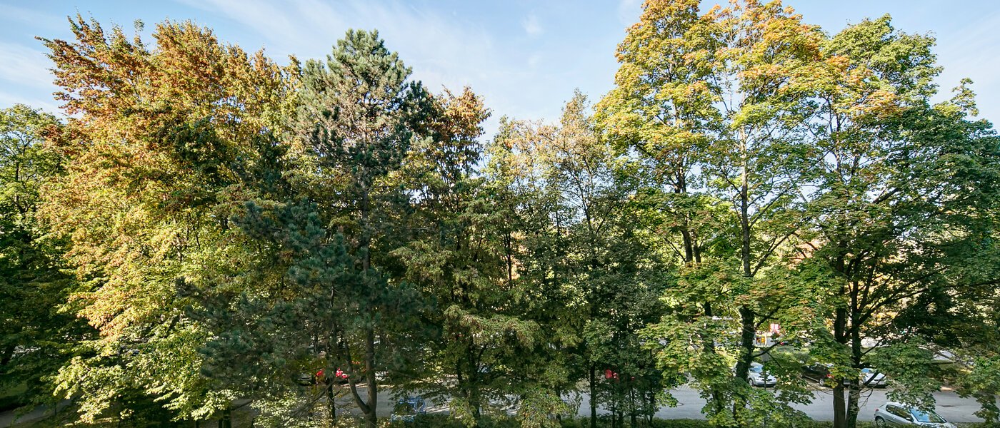 apartment München Englschalking 03 view 8399