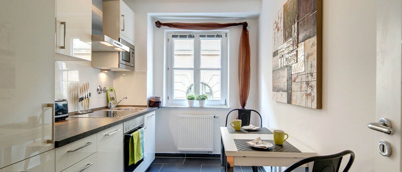 apartment München Maxvorstadt - Universitätsviertel 01 kitchen 8499