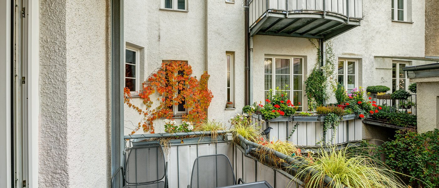 apartment München Maxvorstadt - Universitätsviertel 01 view 8558