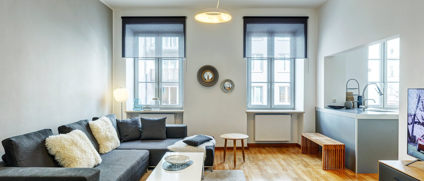 apartment München Maxvorstadt - Universitätsviertel 03 living room 8558