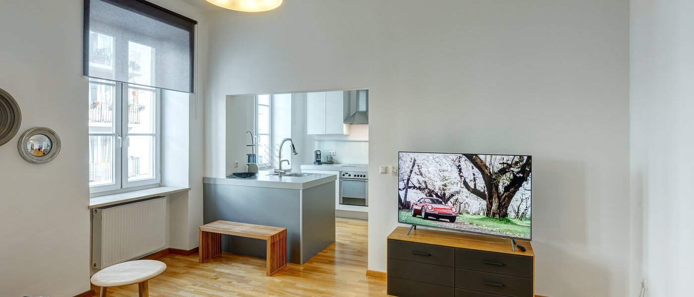 apartment München Maxvorstadt - Universitätsviertel 04 living room 8558