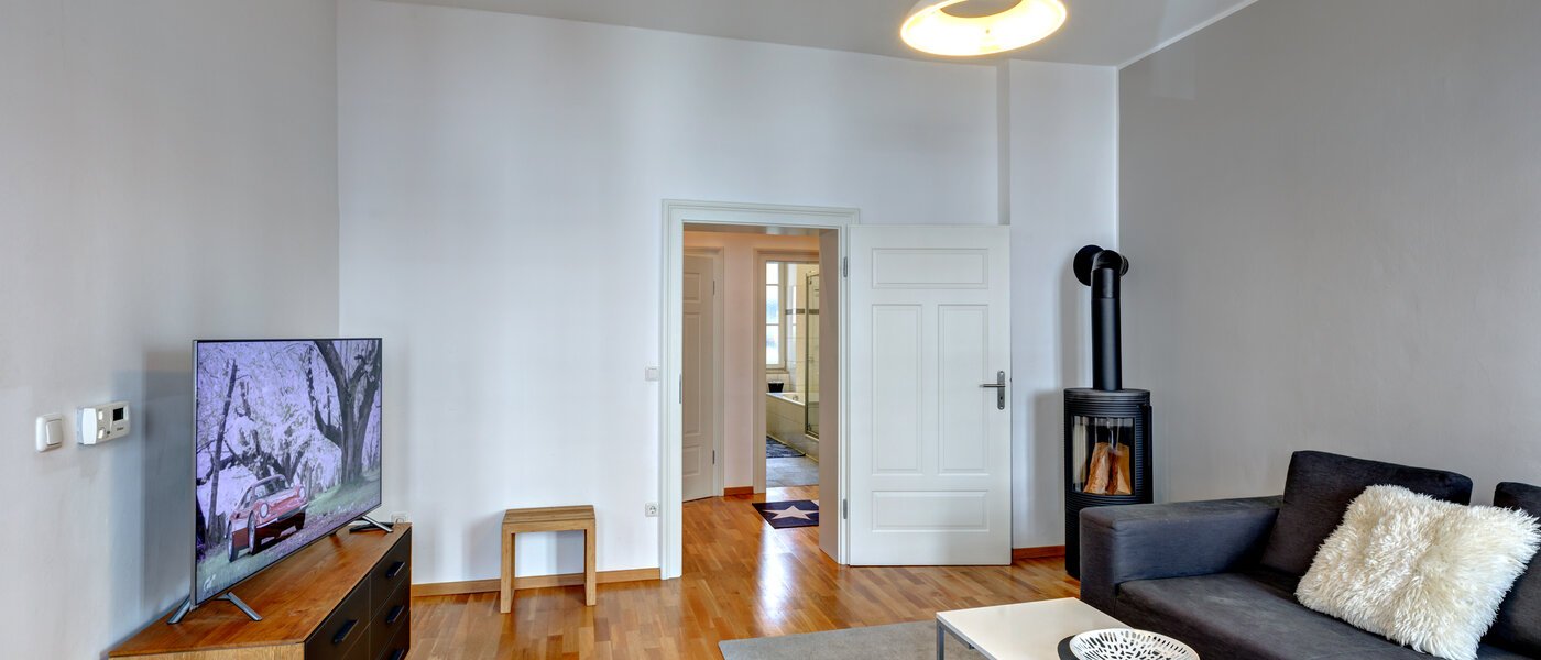 apartment München Maxvorstadt - Universitätsviertel 05 living room 8558