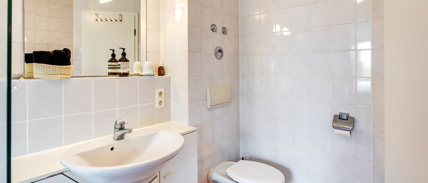 attic apartment München Denning 03 bathroom 8585