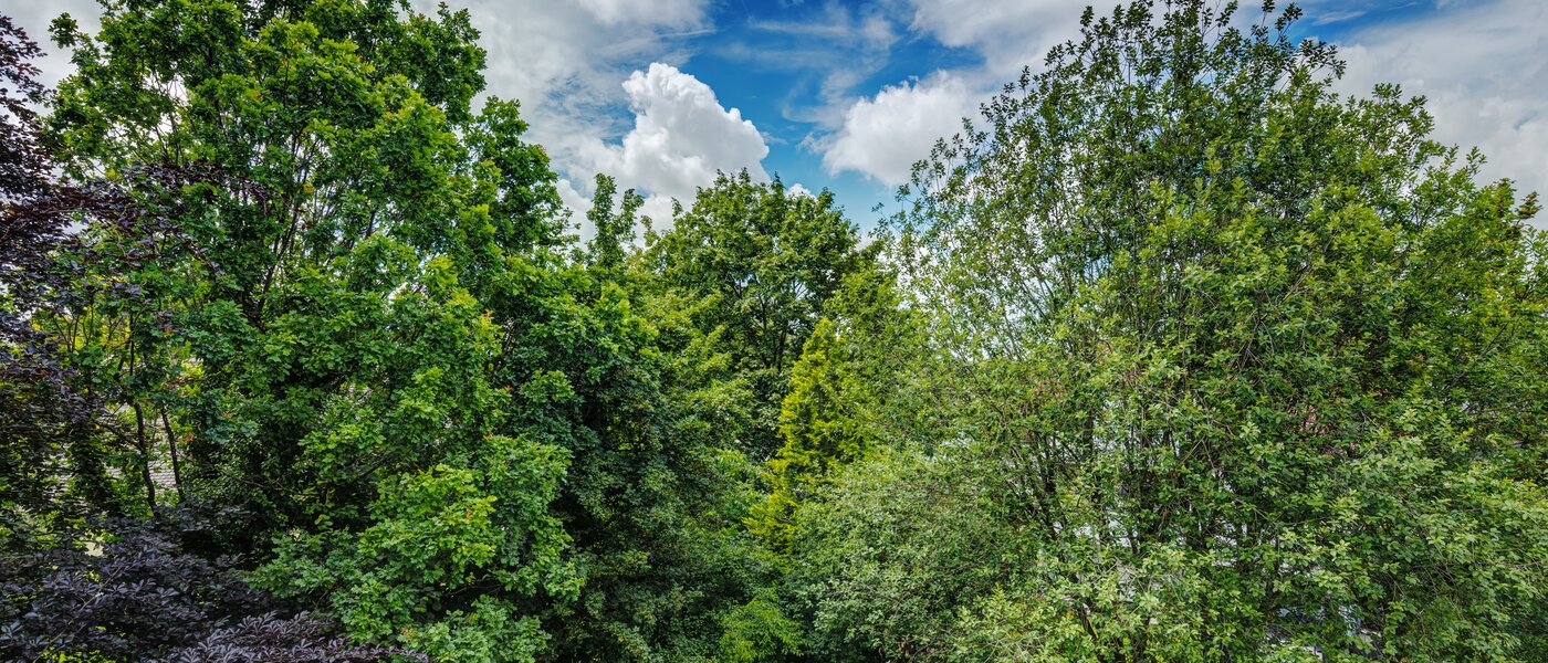 apartment München Ramersdorf 02 view 8588