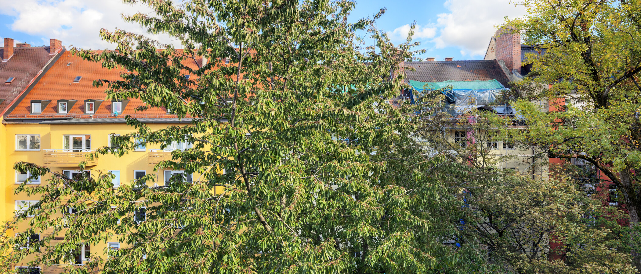 apartment München Neuhausen 02 view 8591