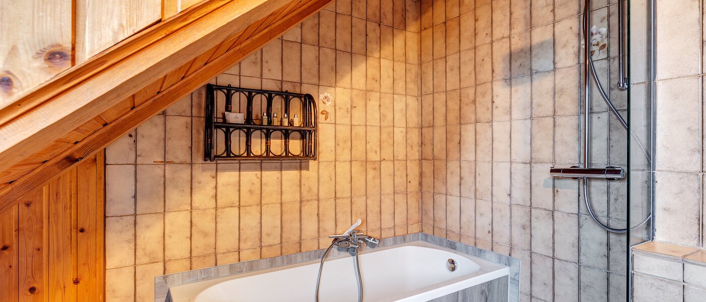 attic apartment München Berg am Laim 02 bathroom 8602