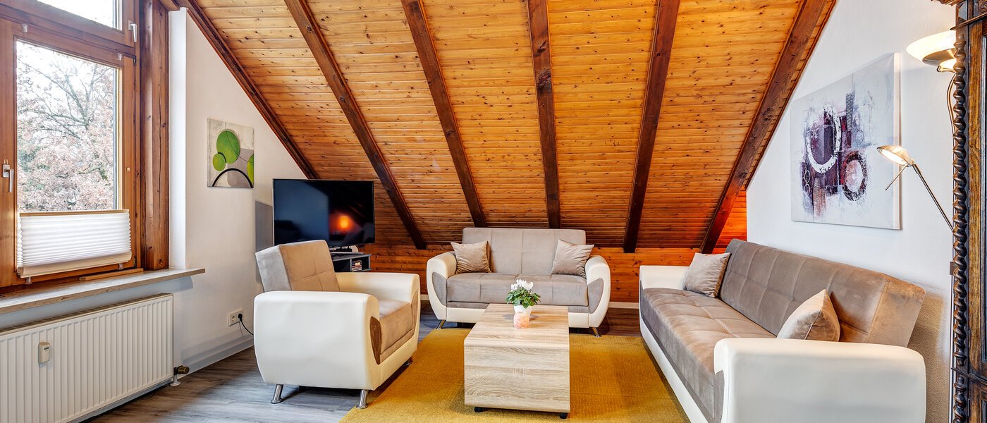 attic apartment München Berg am Laim 02 living area 8602