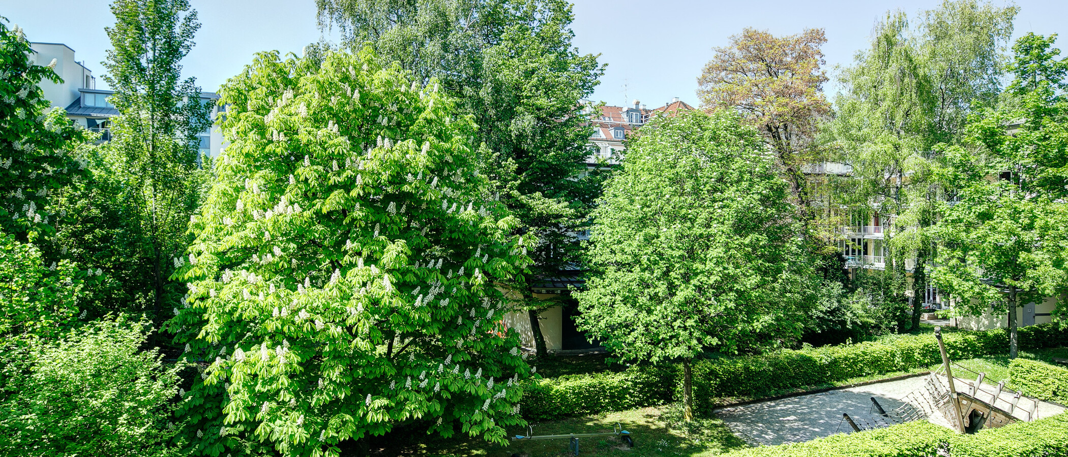 apartment München Maxvorstadt - Universitätsviertel 02 view 8629