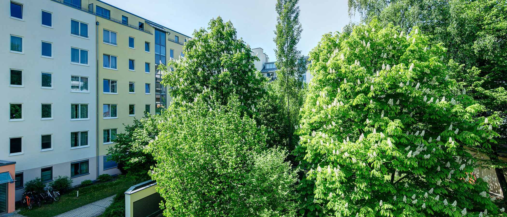 apartment München Maxvorstadt - Universitätsviertel 03 view 8629