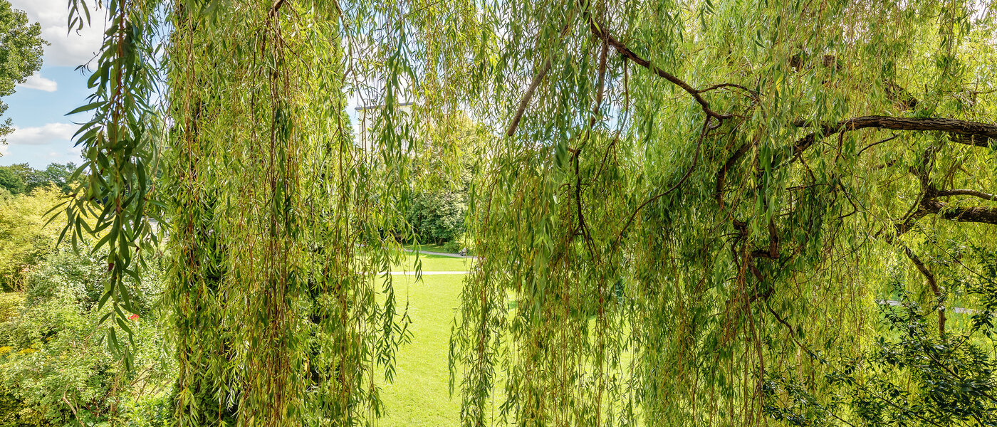 apartment München Parkstadt Bogenhausen 02 view 8635