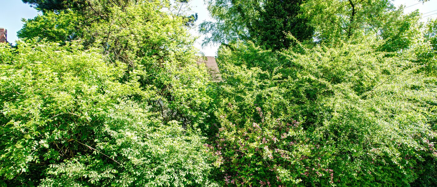 apartment München Freimann 04 view 8673