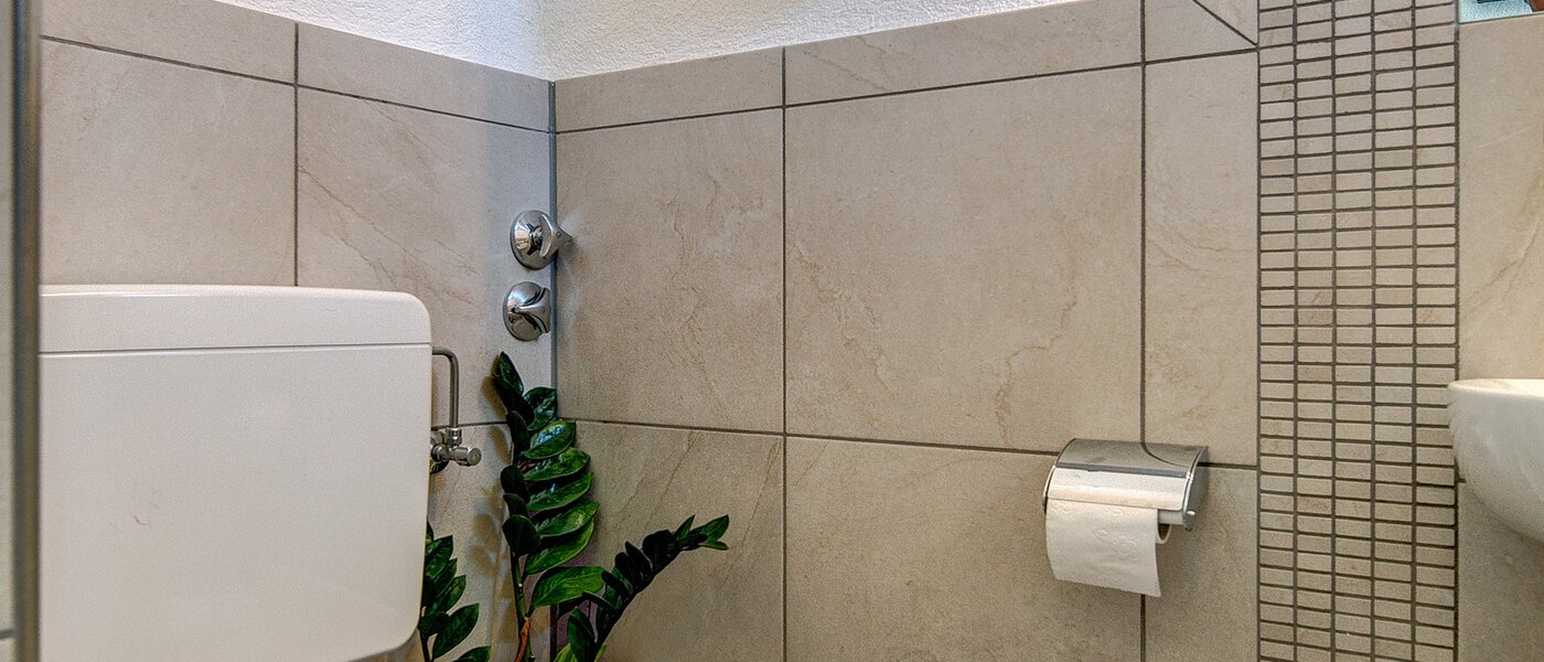 house München Waldtrudering 02 guest toilet 8754