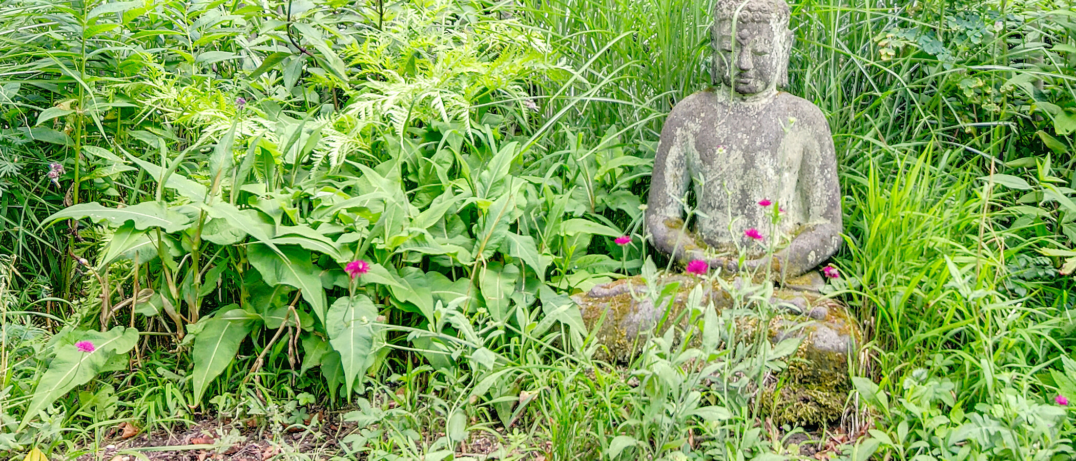 house Gräfelfing 05 garden 8778