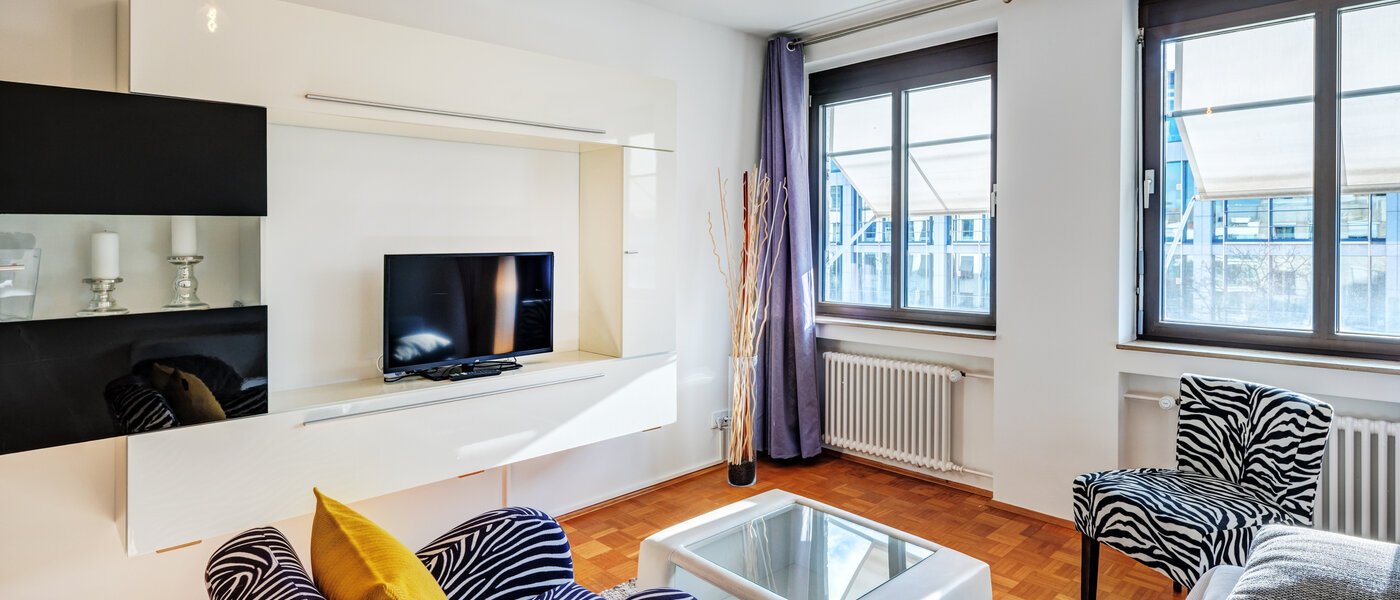 apartment München Maxvorstadt 02 living room 8779